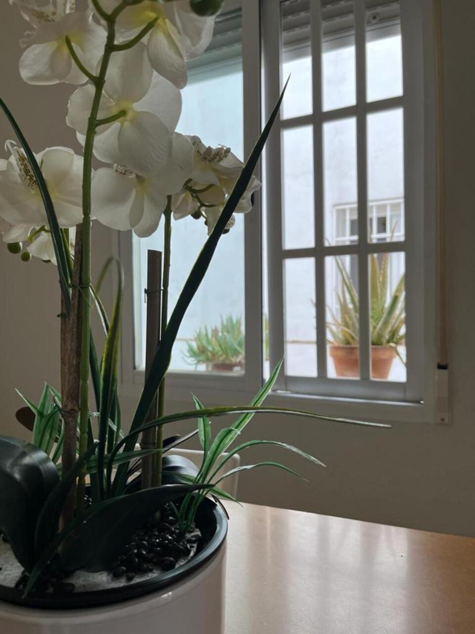 Apartamento El Balcon De La Torre Córdoba Exterior foto
