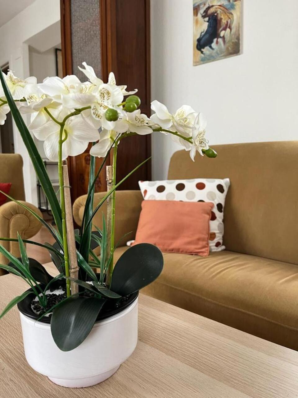Apartamento El Balcon De La Torre Córdoba Exterior foto