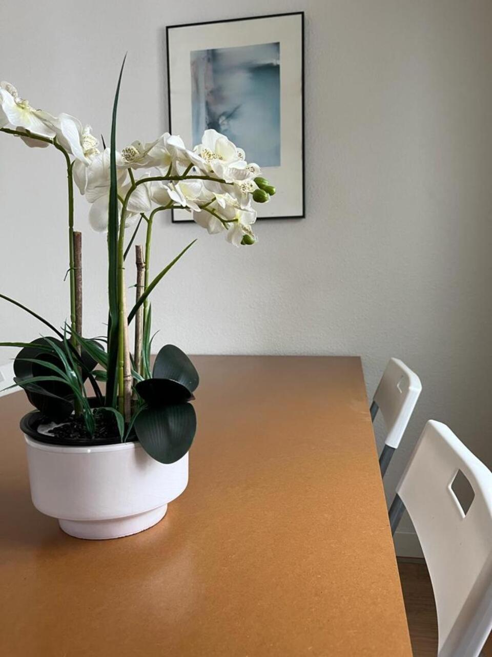 Apartamento El Balcon De La Torre Córdoba Exterior foto